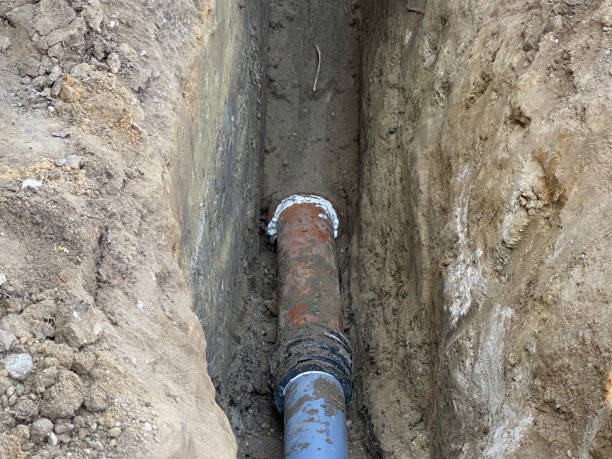  Bolinas, CA Water damage restoration Pros