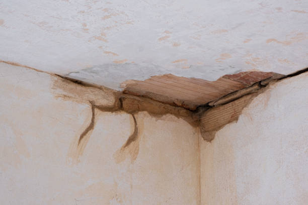 Best Emergency water damage restoration  in Bolinas, CA