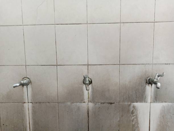 Best Water damage cleanup near me  in Bolinas, CA