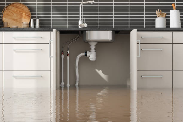 Best Sewage cleanup and water damage restoration  in Bolinas, CA